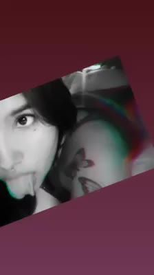 Damita ZN