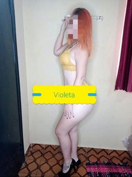 Violeta ZO