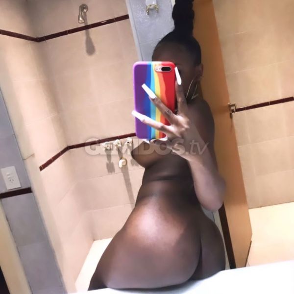 Hola bebe