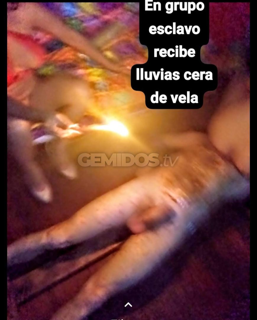 Sado Heleonora